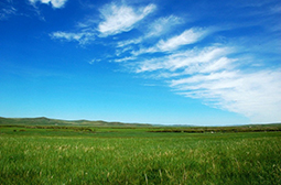 美丽壮观的蒙古呼伦贝尔草原图片