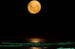 摄影唯美迷人的月亮唯美意境图片