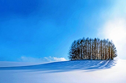 摄影大自然冬季唯美雪景图片大全