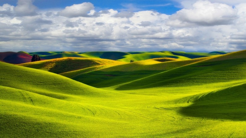 一望无际的草原清新翠绿自然风景