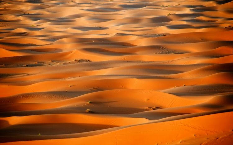 世界上最大的沙漠撒哈拉沙漠风景美图 (3)