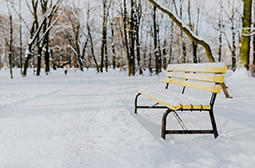 雪地里的公园冬季雪景图片摄影