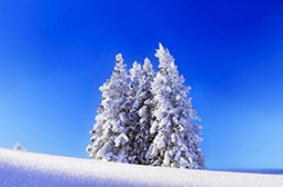 拍摄冬天的唯美雪景高清图片赏析