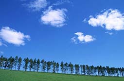 令人心情舒畅的蓝天白云风景图片